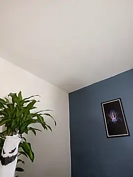 SilvaBranko online show from November 4, 10:02 pm