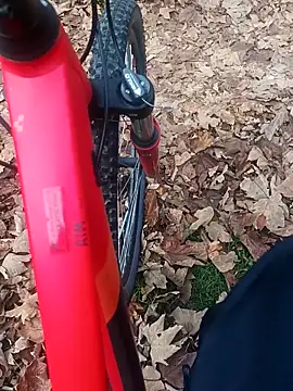 Snapshot of maleesa chatting on November 2, 6:29 am maleesa online show from November 2, 6:29 am