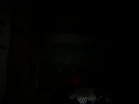 Mallayali 27 online show from January 14, 7:00 pm