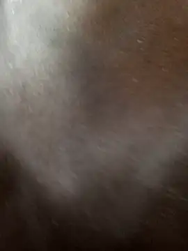 Swirly blac online show from March 12, 6:39 am