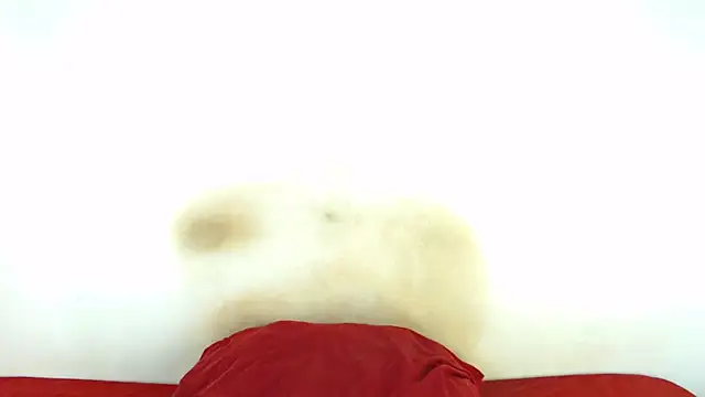 FAT ASS27 online show from February 8, 12:52 am