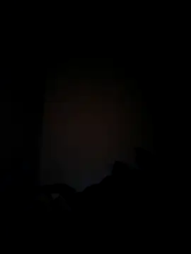 Berinjela20 online show from February 2, 5:17 am