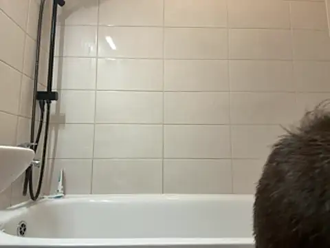 czruz online show from January 19, 7:01 am