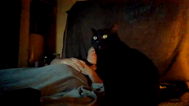 Nightshade7712 online show from November 6, 9:41 pm