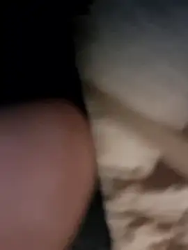 Snapshot of Armyexhibitionistvet chatting on January 11, 3:30 pm Armyexhibitionistvet online show from January 11, 3:30 pm