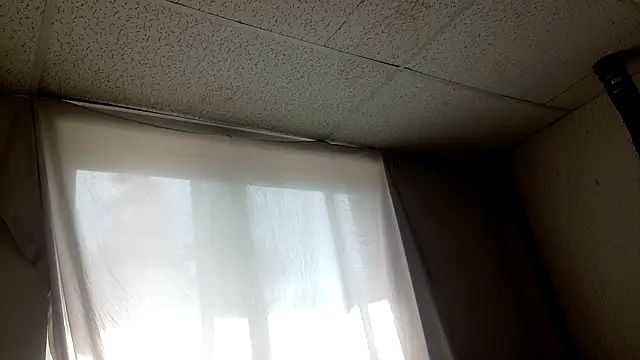 Armyexhibitionistvet online show from April 5, 7:20 pm