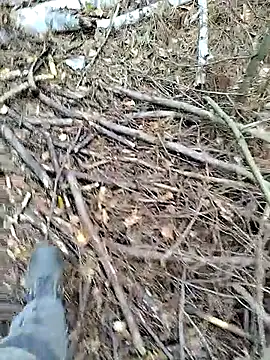 Snapshot of prcalek19 chatting on October 14, 9:10 am prcalek19 online show from October 14, 9:10 am