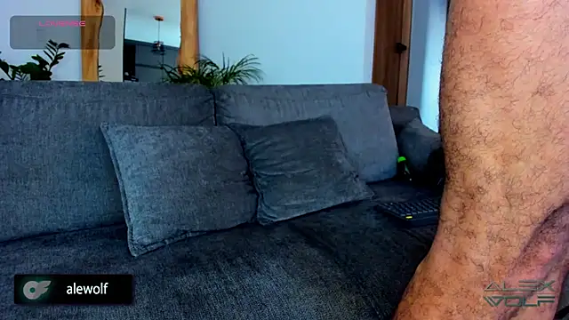 alex wolf  online show from February 25, 10:20 pm