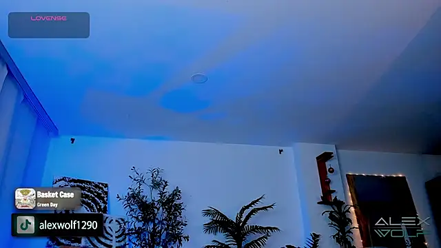 alex wolf  online show from January 17, 5:21 am