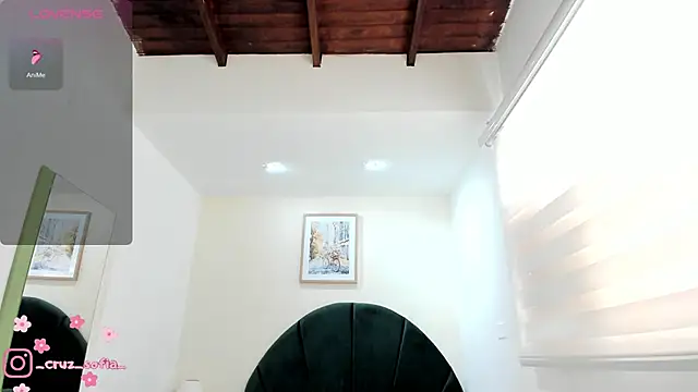 Snapshot of _AlejaCruz_ chatting on June 2, 7:36 pm AlejaCruz online show from June 2, 7:36 pm