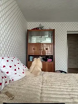 Snapshot of adel_secret chatting on June 12, 12:58 pm adel secret online show from June 12, 12:58 pm