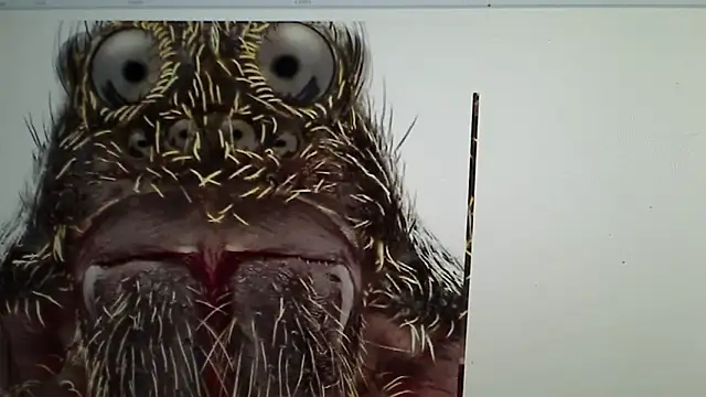 Snapshot of Ireallysquirt chatting on March 12, 2:41 am Ireallysquirt online show from March 12, 2:41 am