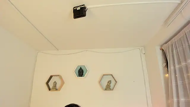 Paloma victory online show from November 15, 9:30 pm