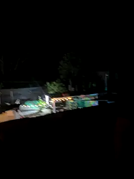 lulu kis online show from December 20, 8:28 am