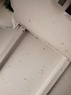 Snapshot of Giselabrunette25 chatting on December 15, 2:45 pm Giselabrunette25 online show from December 15, 2:45 pm