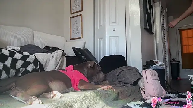 yummyrina online show from February 7, 7:33 pm