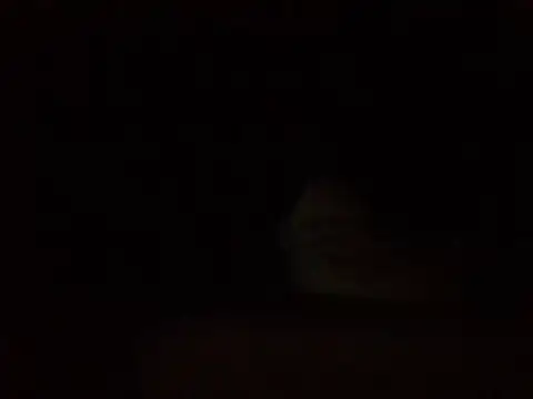 technodotado online show from July 30, 4:22 am