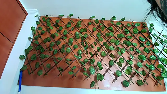 Naughty Kittenm online show from April 8, 11:22 am