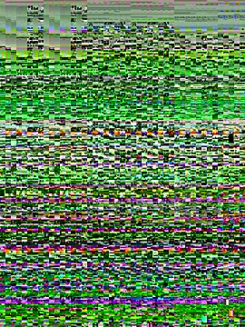 Sunbelxx online show from December 18, 9:47 am