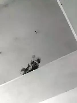 Snapshot of Mafiya1604 chatting on October 22, 5:29 am Mafiya1604 online show from October 22, 5:29 am