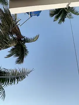 Ishikarana online show from April 14, 1:43 am