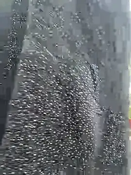 Ishikarana online show from March 13, 12:37 am