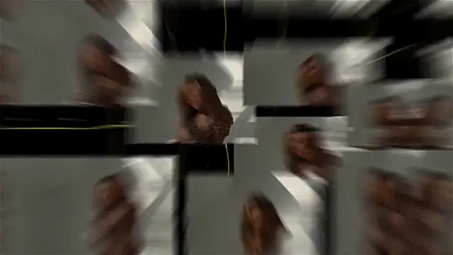 seilyfox online show from September 25, 7:47 am