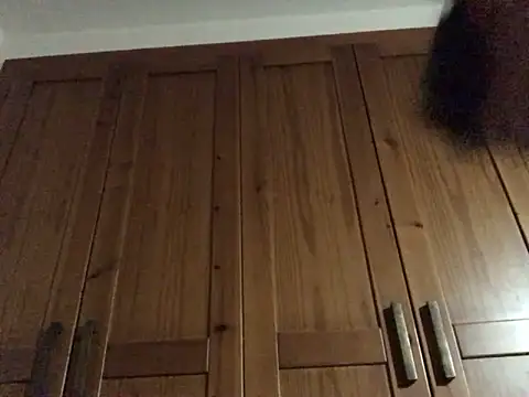 Snapshot of Dicksexhandjob chatting on December 17, 12:23 am Dicksexhandjob online show from December 17, 12:23 am