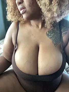 MILL204 online show from November 12, 7:23 am