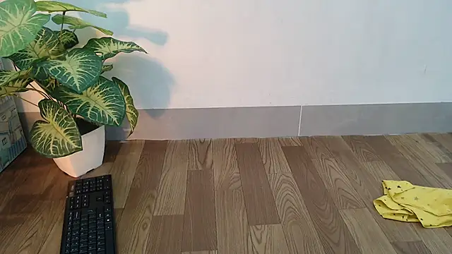 Linn 97 online show from January 31, 10:52 pm