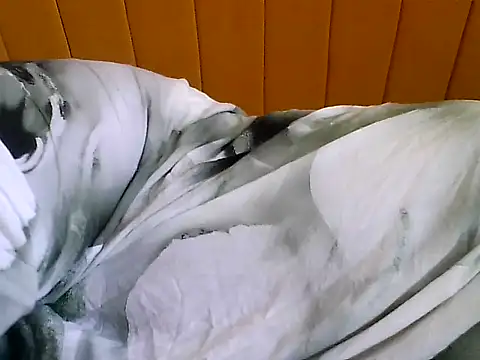 Snapshot of nastygirl- chatting on November 23, 9:30 am nastygirl- online show from November 23, 9:30 am