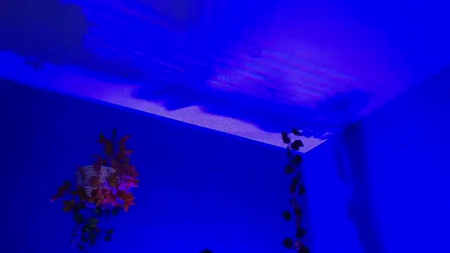 Hellen dumont online show from September 11, 2:22 am