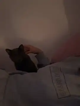 Ag4ta  online show from February 19, 11:12 pm