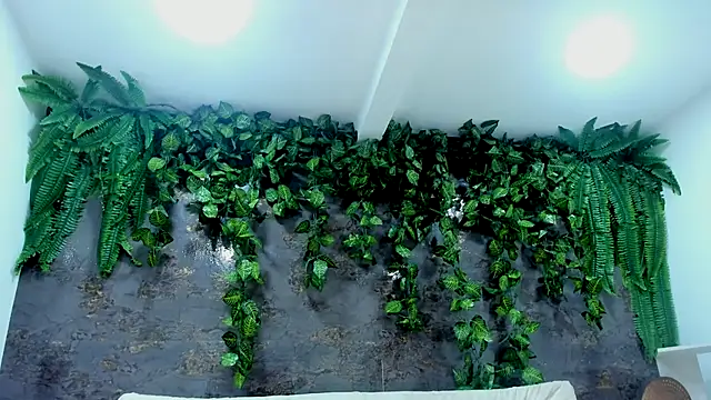 alice greco online show from November 24, 5:02 pm