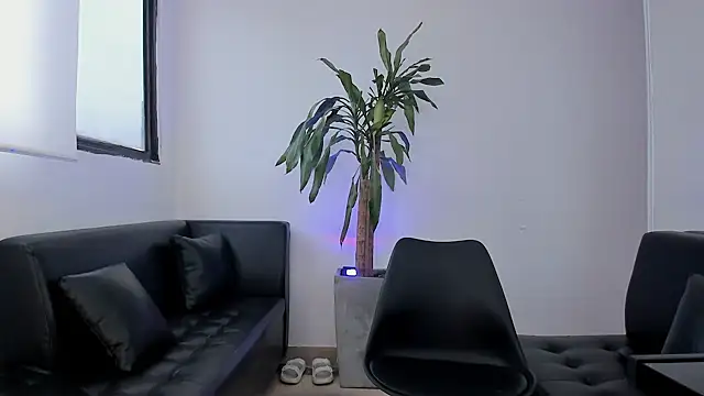 alice greco online show from February 3, 12:54 pm