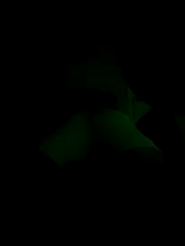 Snapshot of lRainbowBoy chatting on November 14, 12:25 am lRainbowBoy online show from November 14, 12:25 am