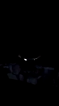 Snapshot of AriellaTaylor chatting on December 14, 12:33 pm AriellaTaylor online show from December 14, 12:33 pm