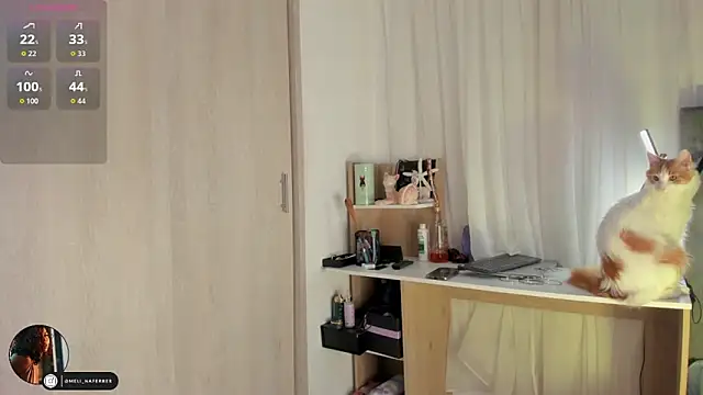 Melina Ferrer1 online show from December 16, 11:47 am