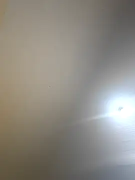 Missthigh online show from October 5, 6:15 am