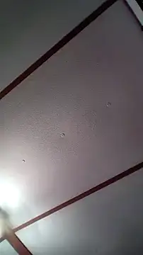 xDestineeXX online show from December 30, 2:31 am