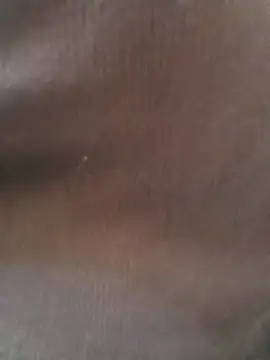 Sarita 7 online show from January 19, 11:45 am