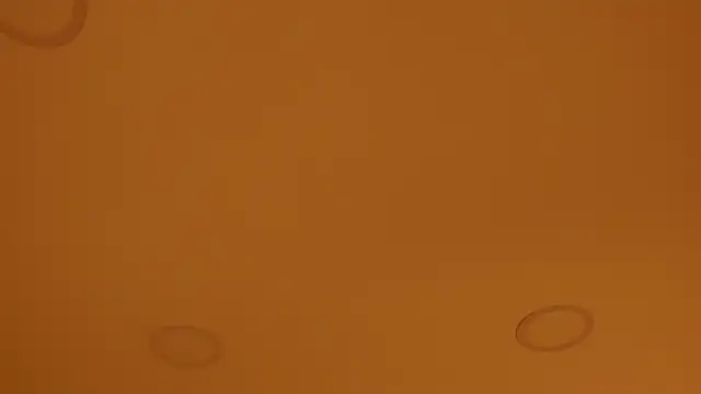 nakamura sam online show from April 8, 10:06 am