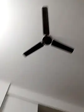 Camieon dre online show from October 28, 6:12 am