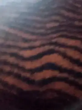 Aachal 7 online show from November 22, 3:27 am