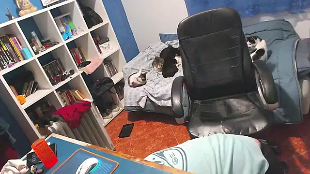 ravingr4d4 online show from February 2, 11:26 pm