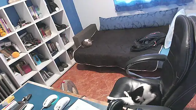 ravingr4d4 online show from October 24, 3:22 pm