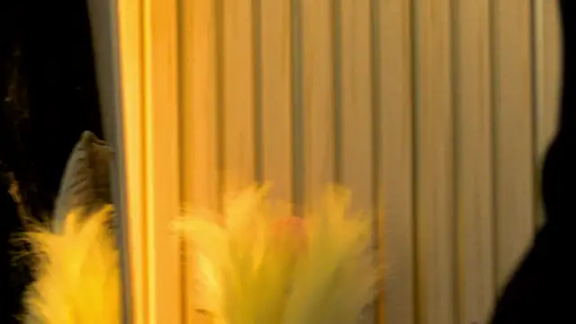 Snapshot of MiaCharm chatting on February 2, 9:36 pm MiaCharm online show from February 2, 9:36 pm