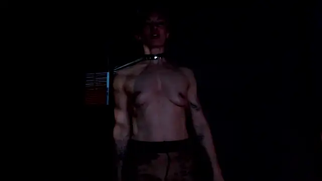 Dorothy Meyer online show from April 18, 8:53 pm