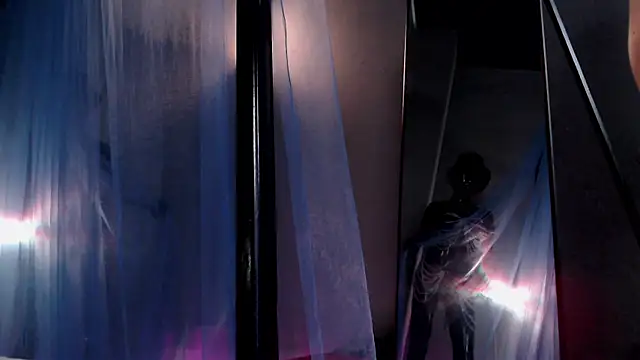 Dorothy Meyer online show from November 13, 10:52 am