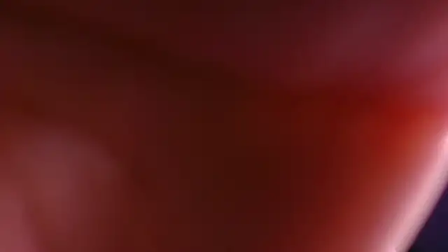 violett lo online show from December 20, 11:57 am